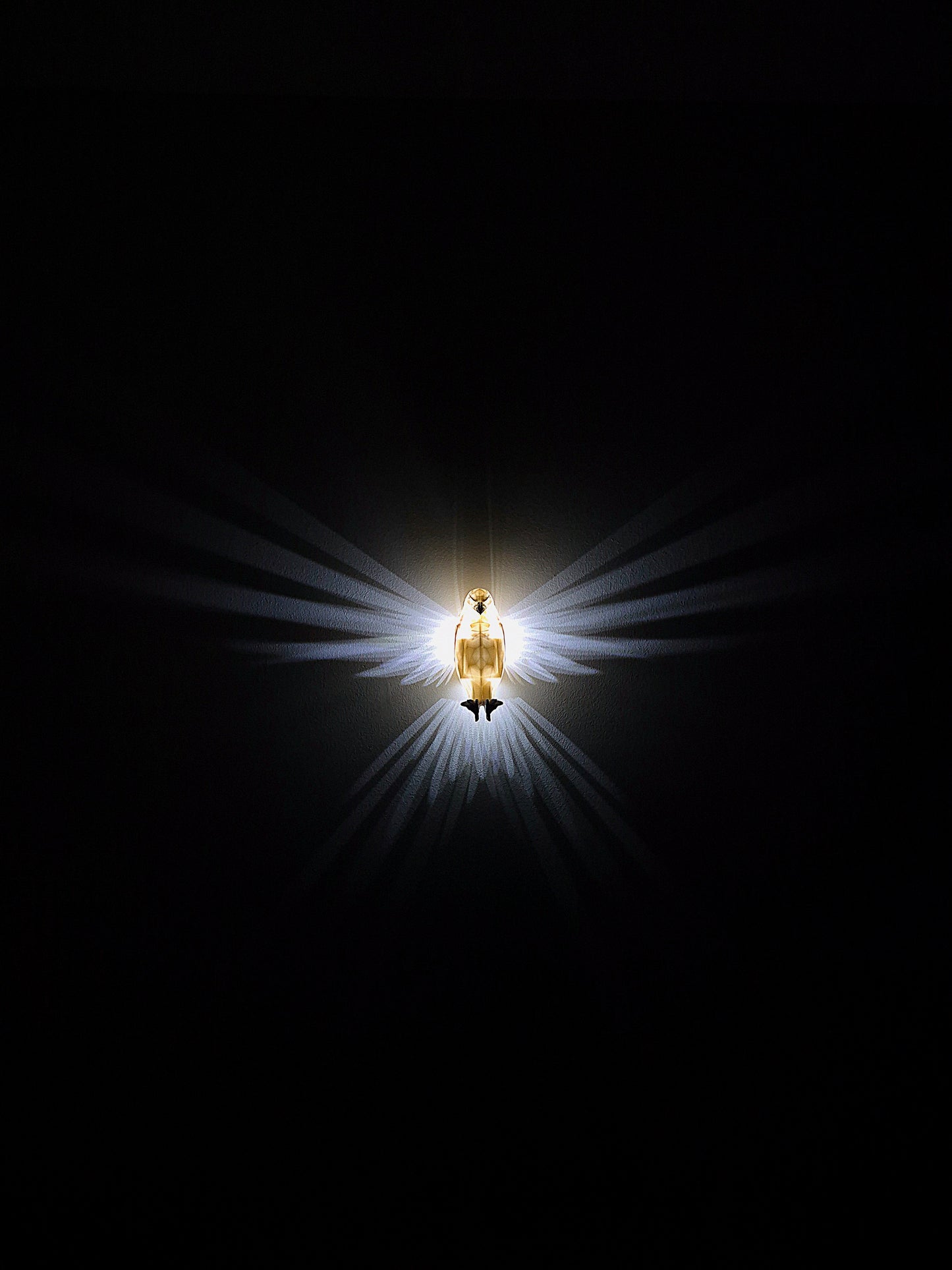 LED-kotka