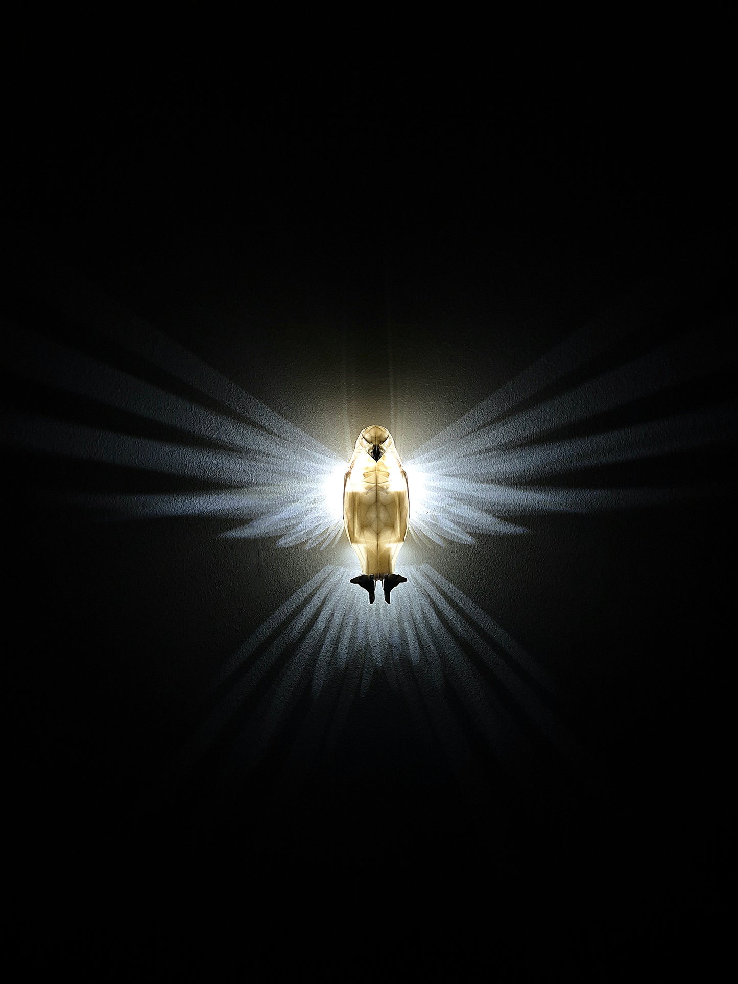 LED-kotka